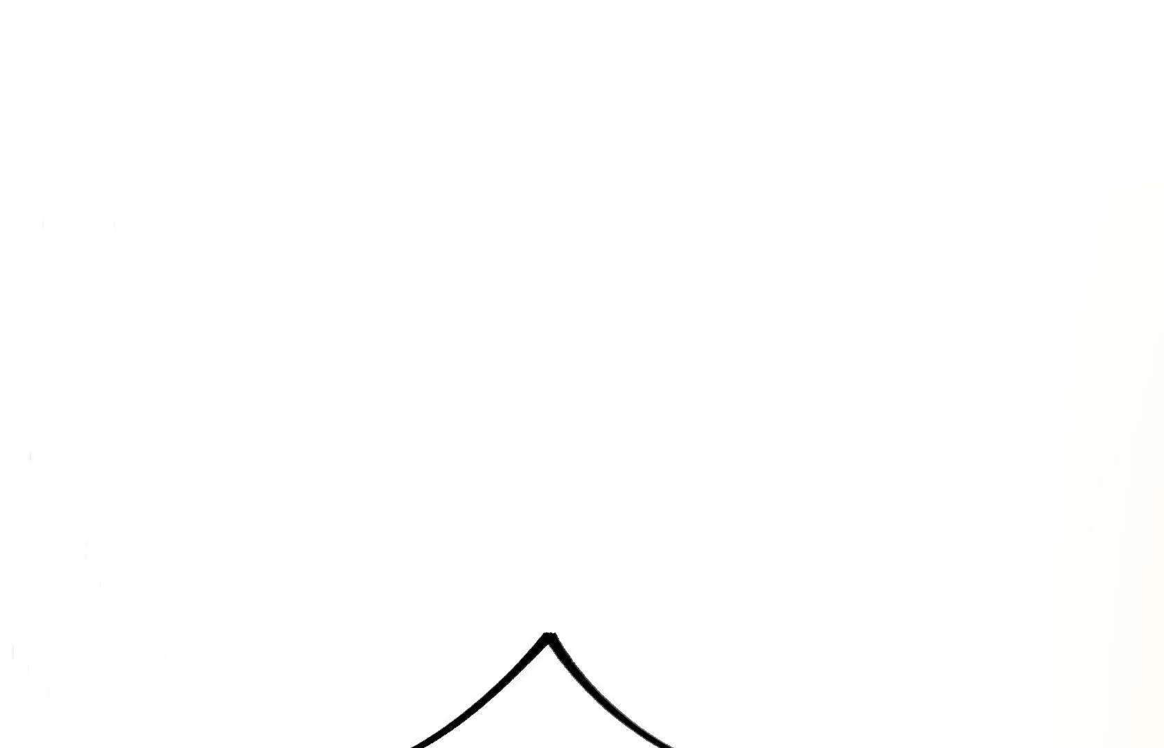 第255页