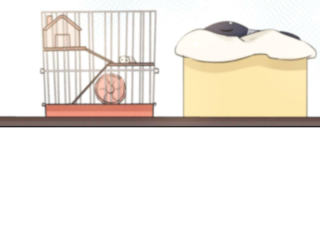 第249页