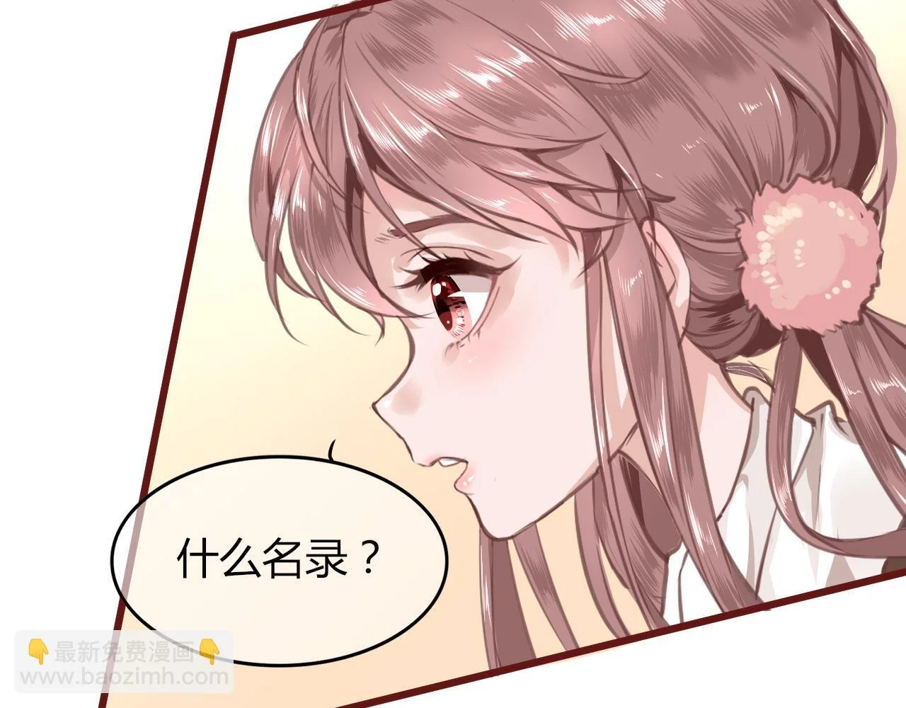 第300页