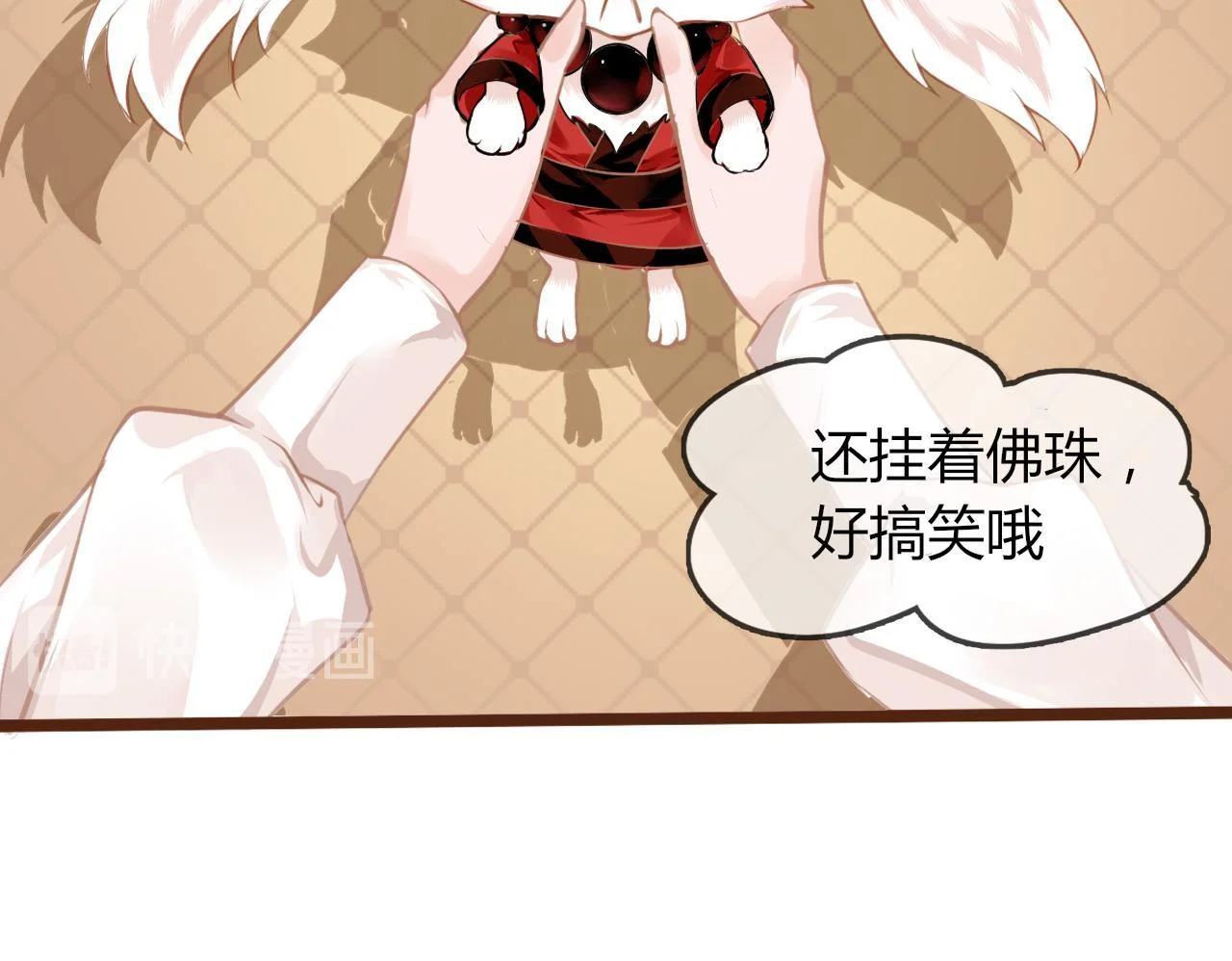 第258页