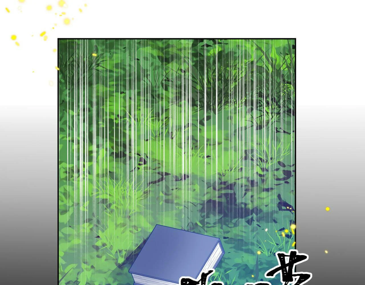 第240页