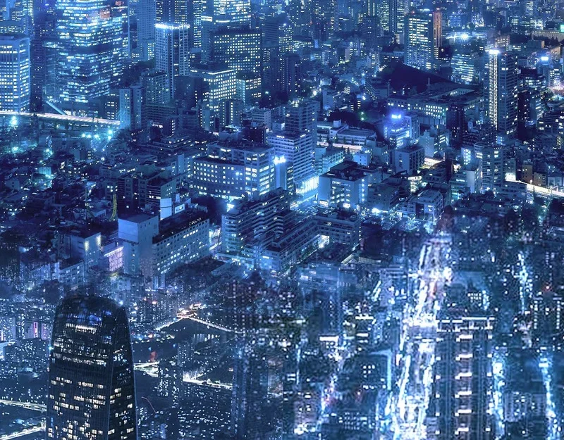 第423页