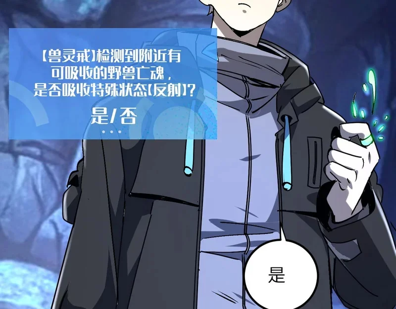 第294页