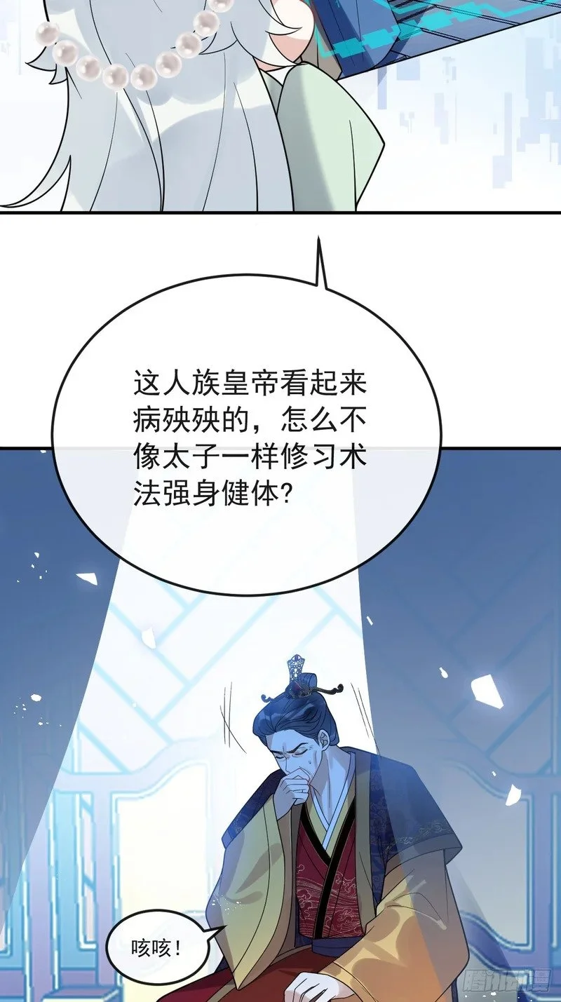 第204页