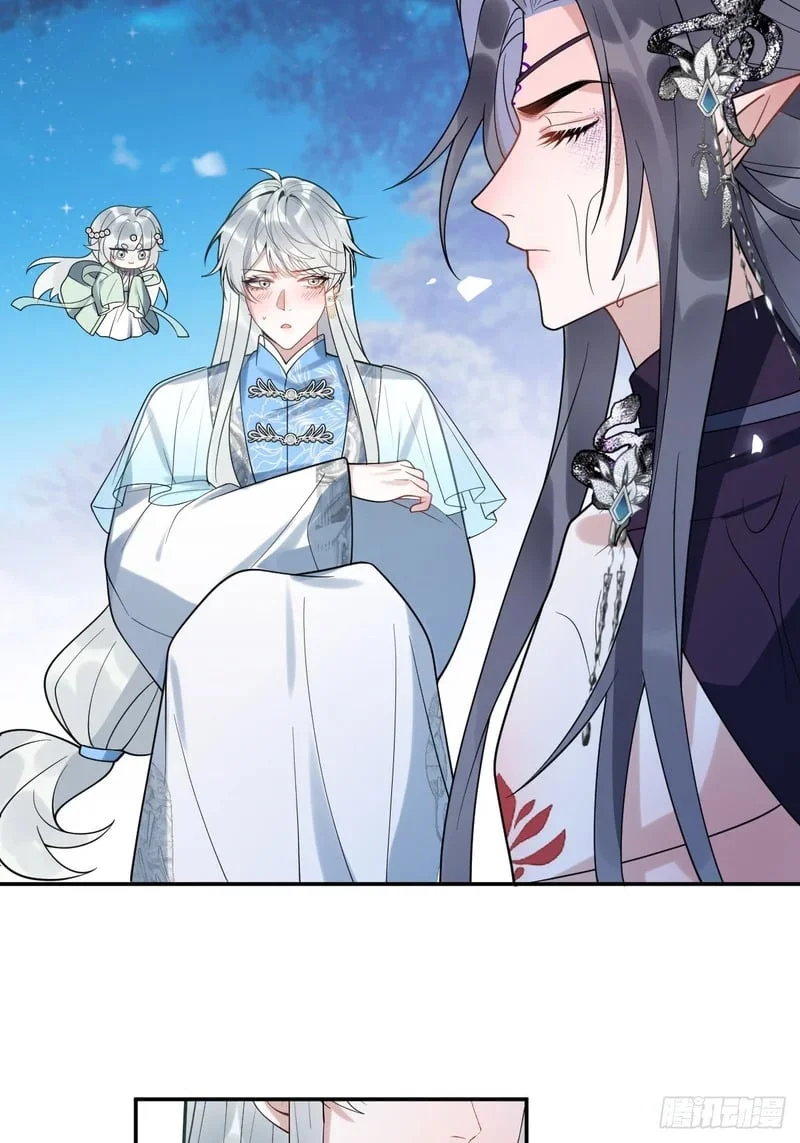 第204页
