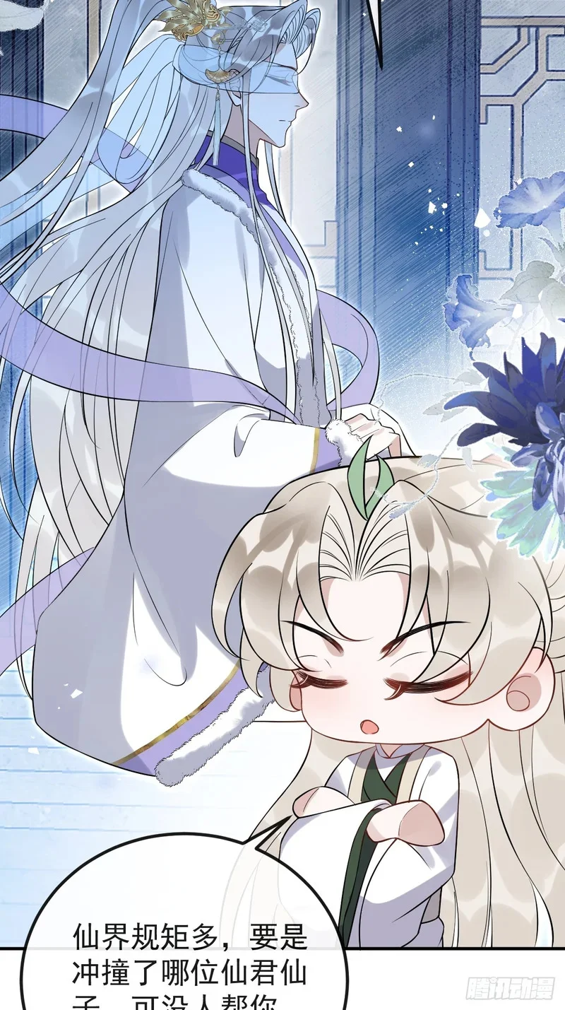 第204页