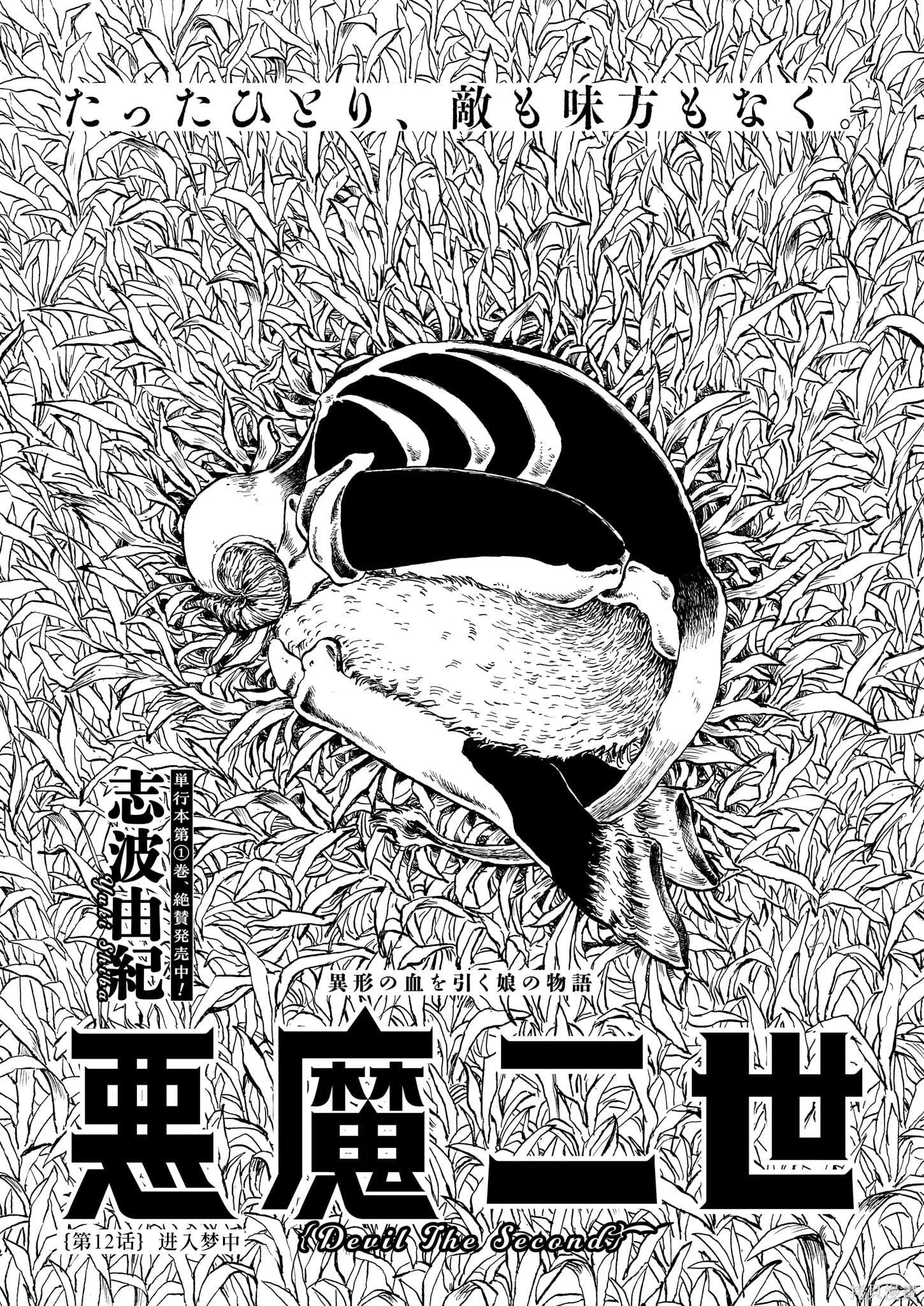 第0页