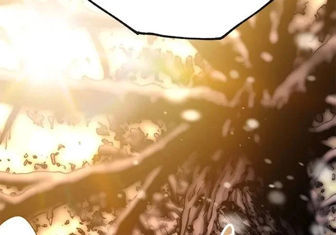 第1113页