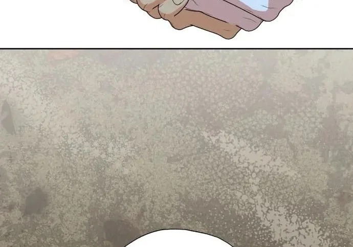第366页