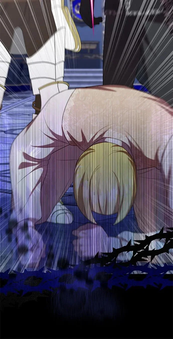 第204页
