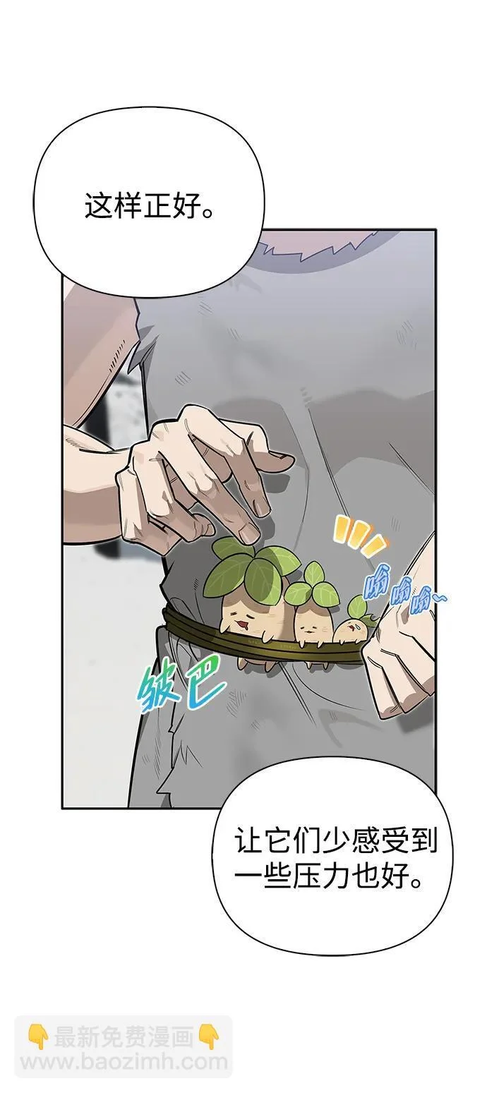 第219页