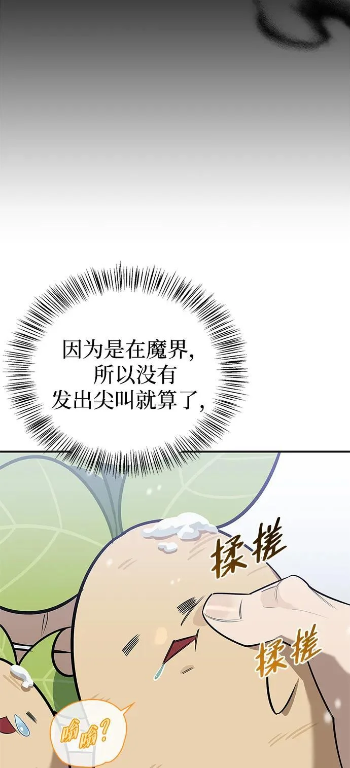 第204页