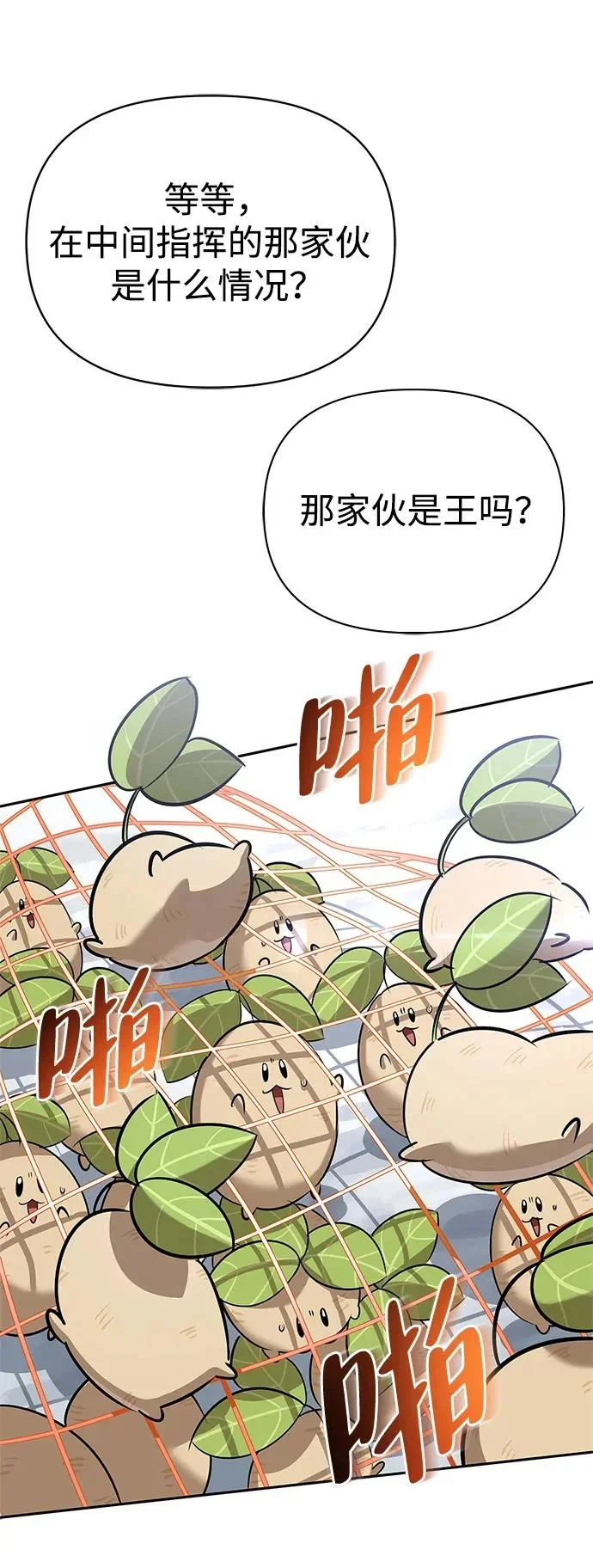 第228页