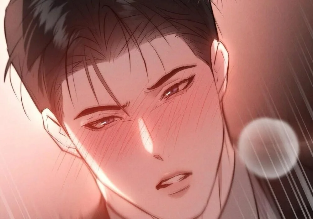 第204页