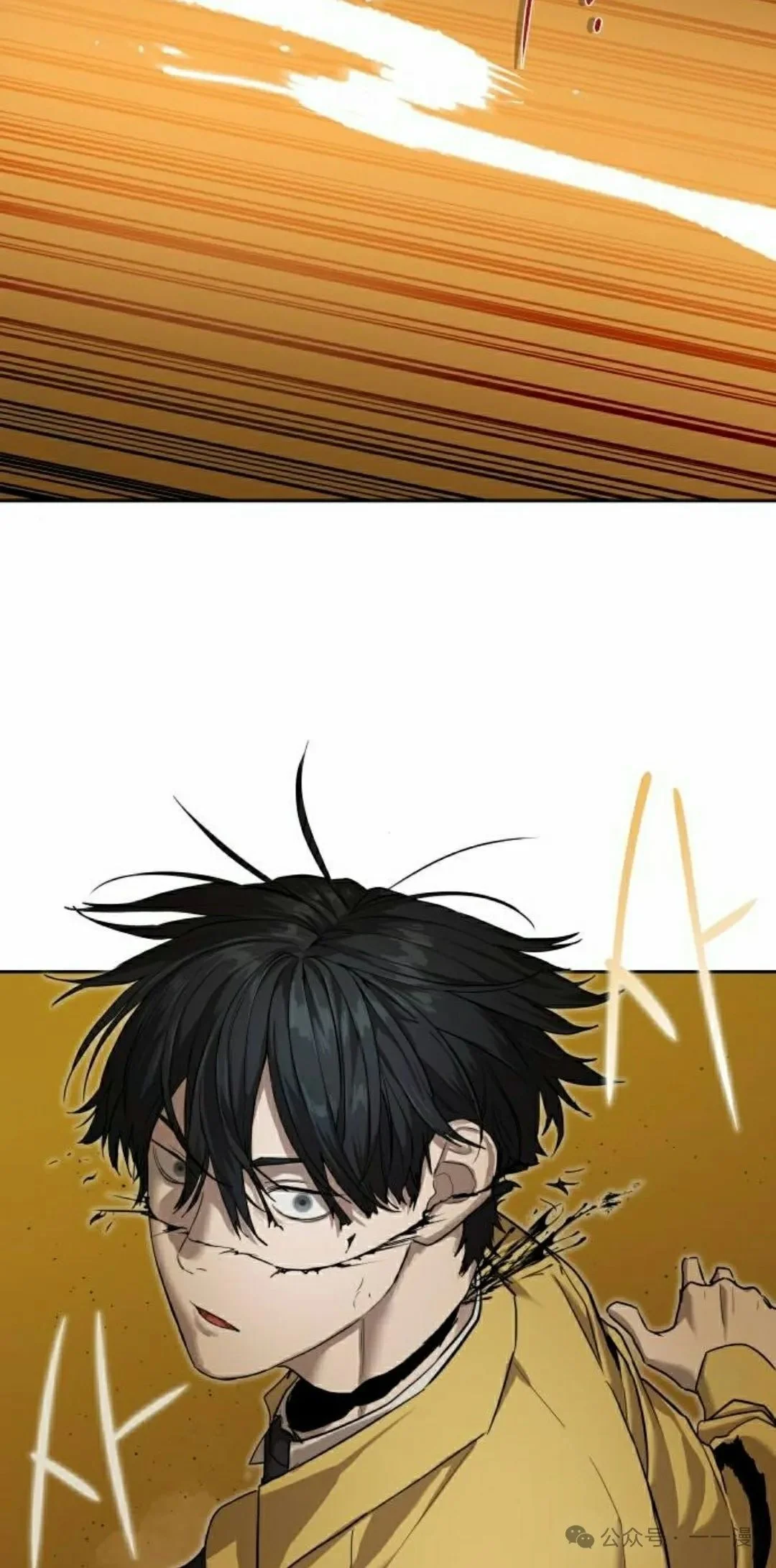 第231页
