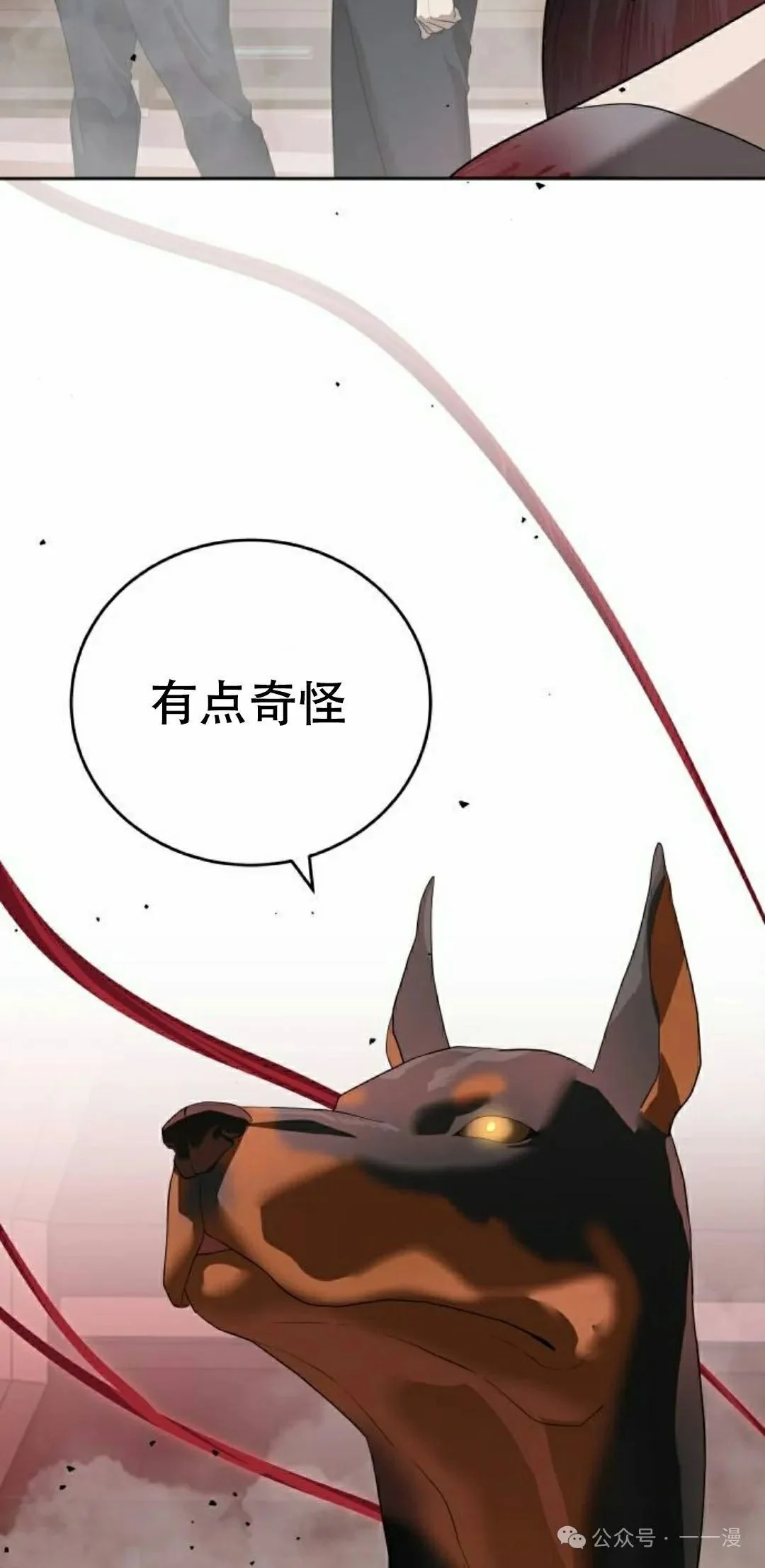 第252页