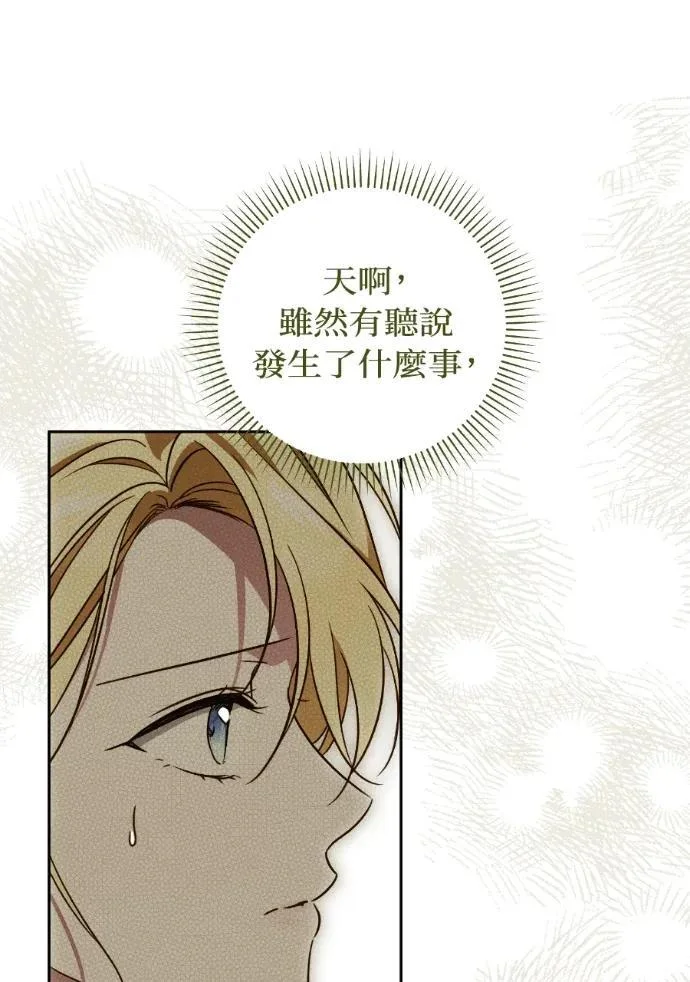 第213页