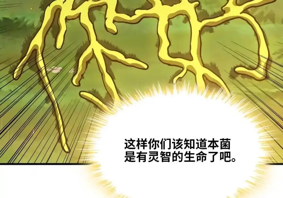 第519页
