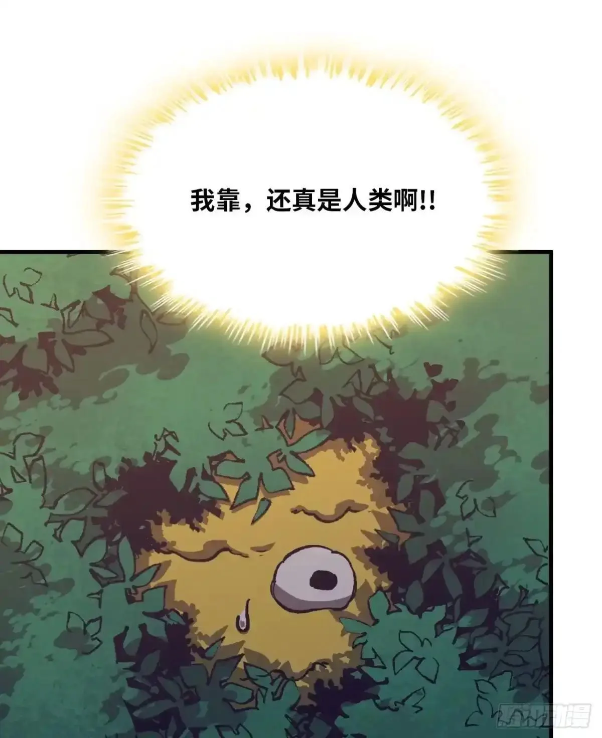 第210页