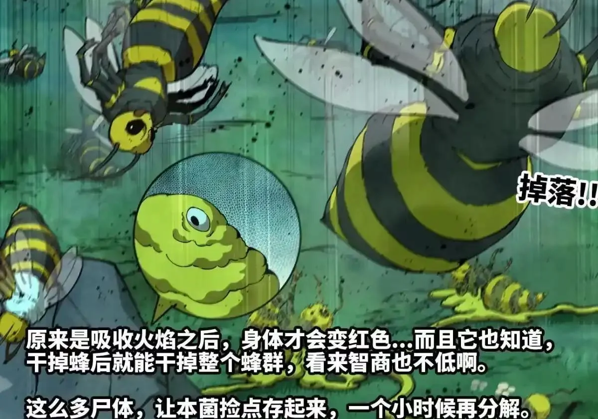 第333页