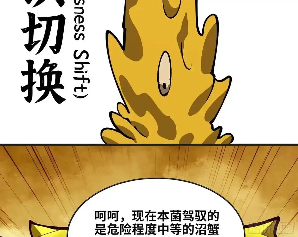 第264页