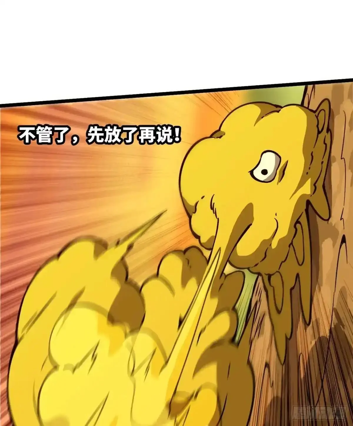 第255页