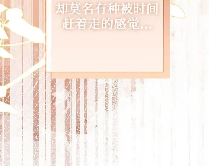 第285页