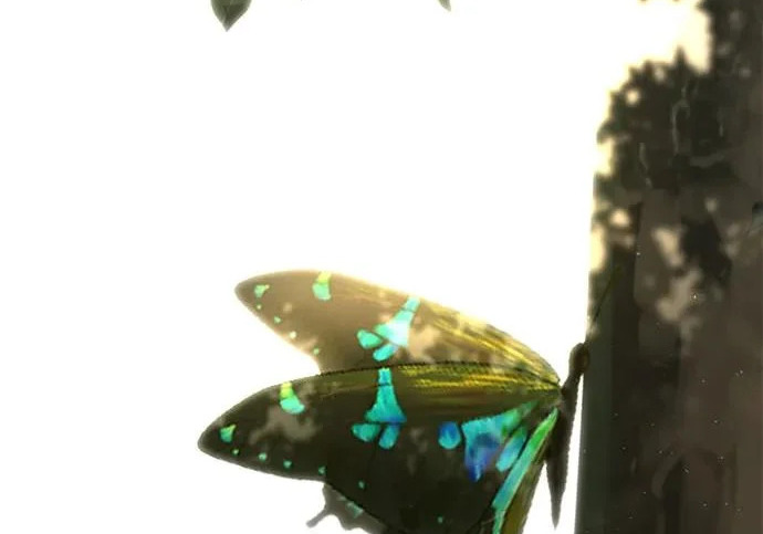 第156页