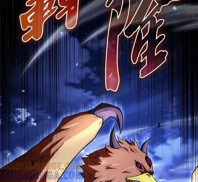 第204页
