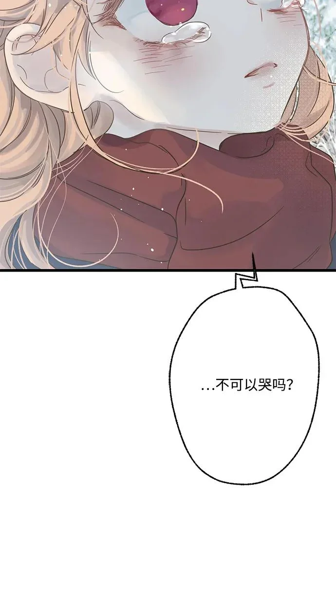 第234页