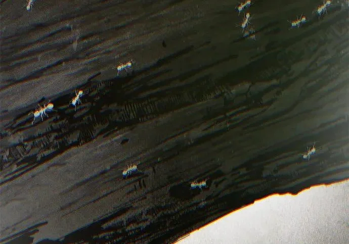 第405页