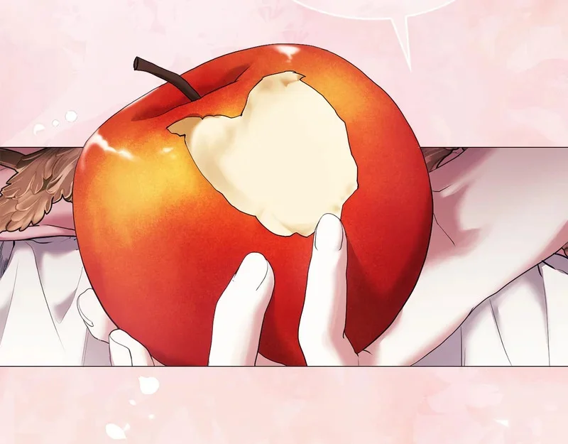 第246页