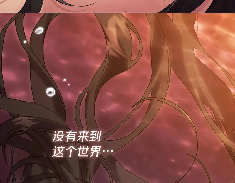第258页