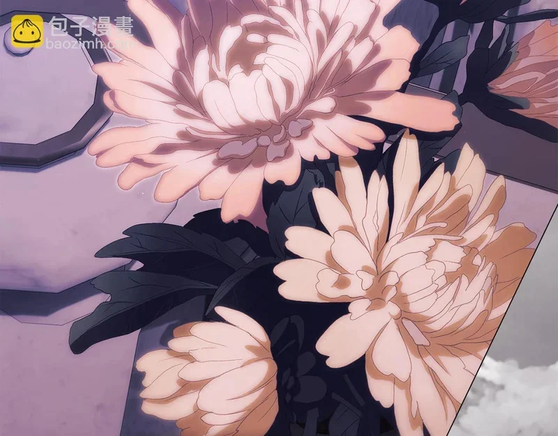 第243页