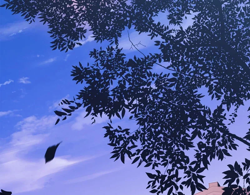 第369页