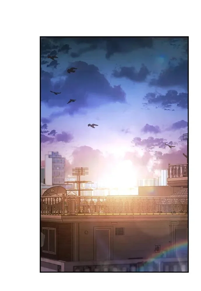 第237页