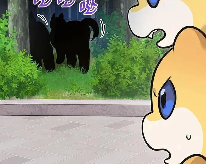 第525页