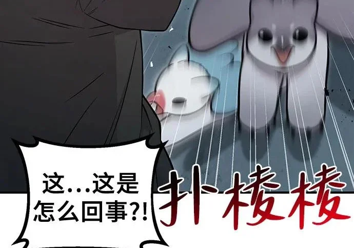 第276页