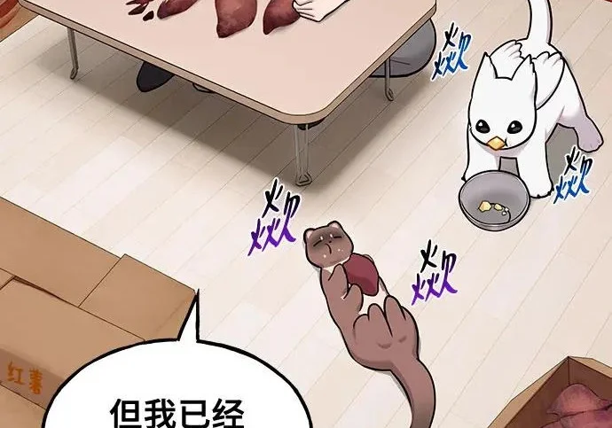 第498页