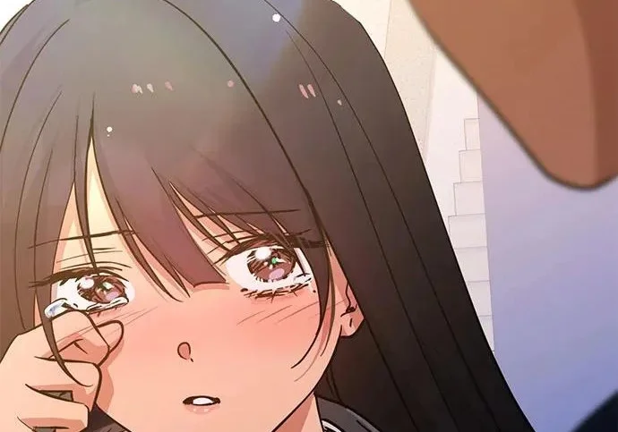 第246页