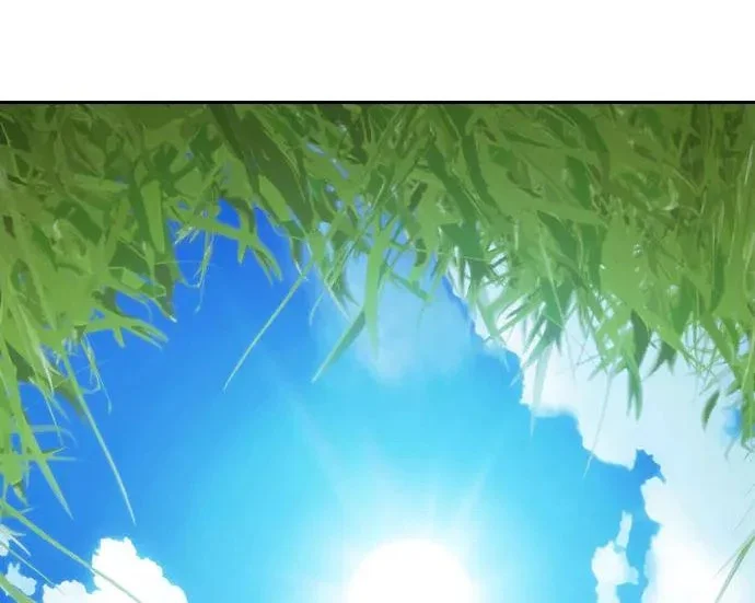第567页