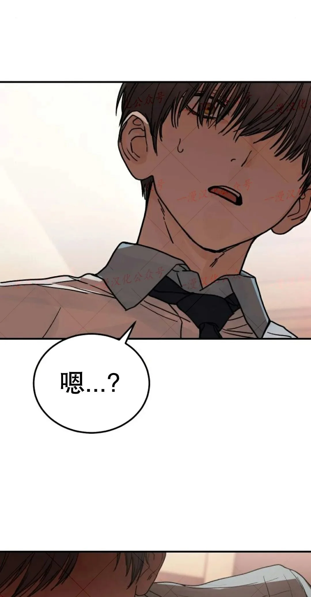 第255页