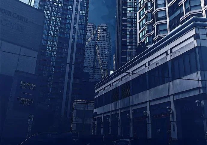 第204页