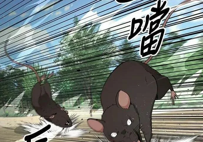 第225页