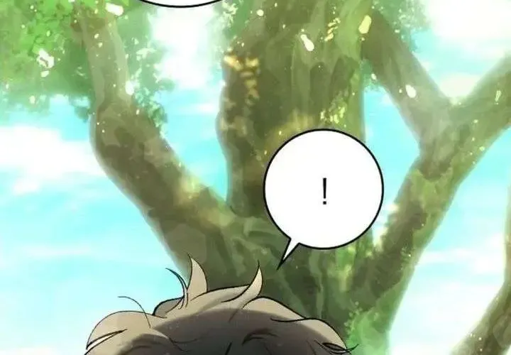 第333页