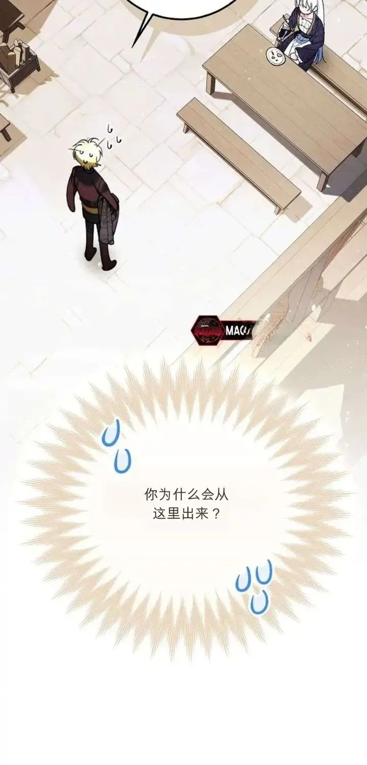 第336页