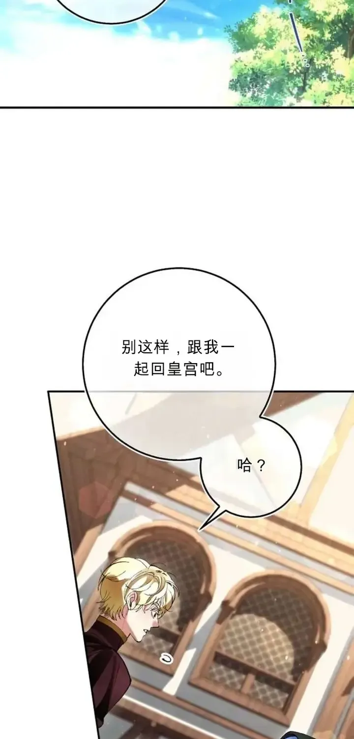 第213页