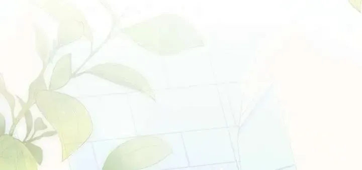 第243页