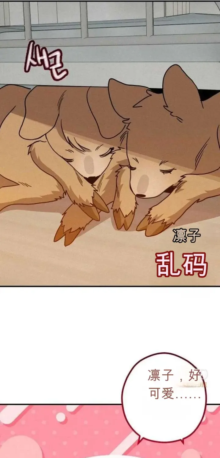 第246页