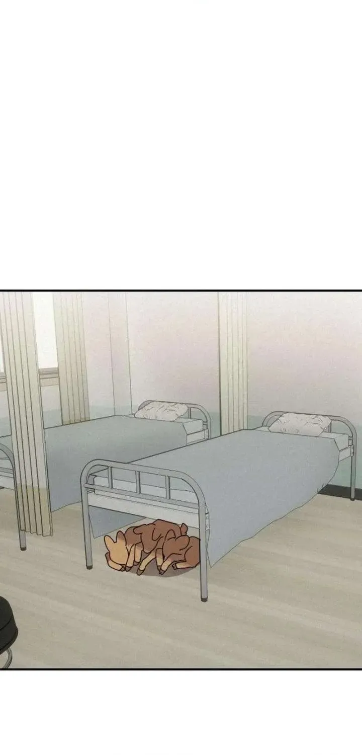 第243页